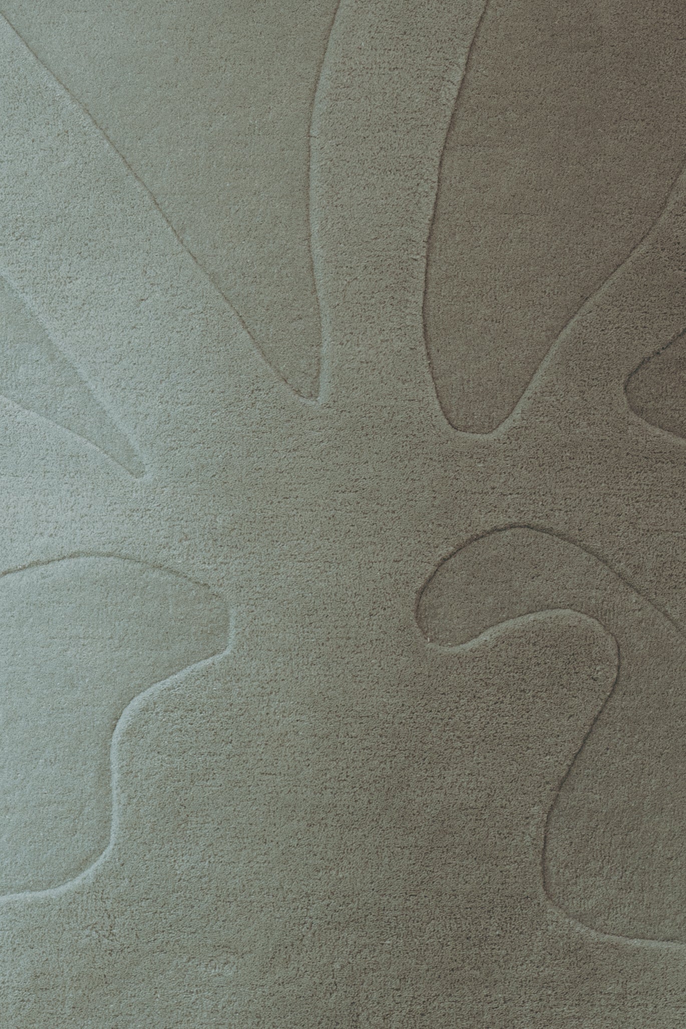 Lauv × Lieselot Wille