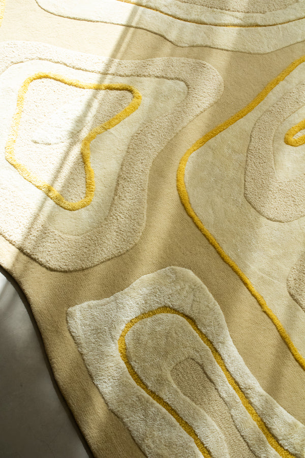 TEXTURED wool rug surface detail showing layered tufting and carved lines